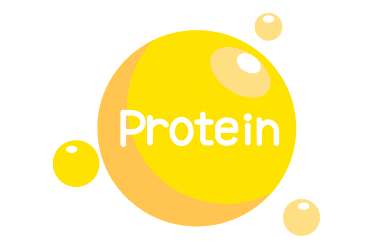 Protein-supplement jsnutrirank-Best Vitamin Brands